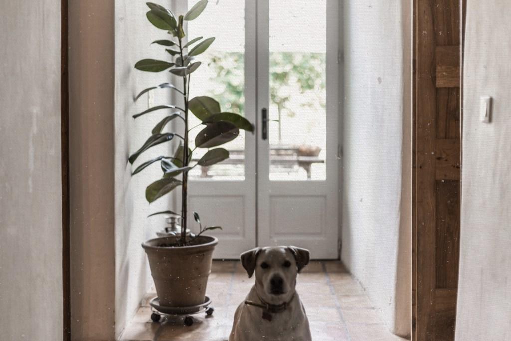 Residence Crone Castillon-en-Couserans Екстер'єр фото
